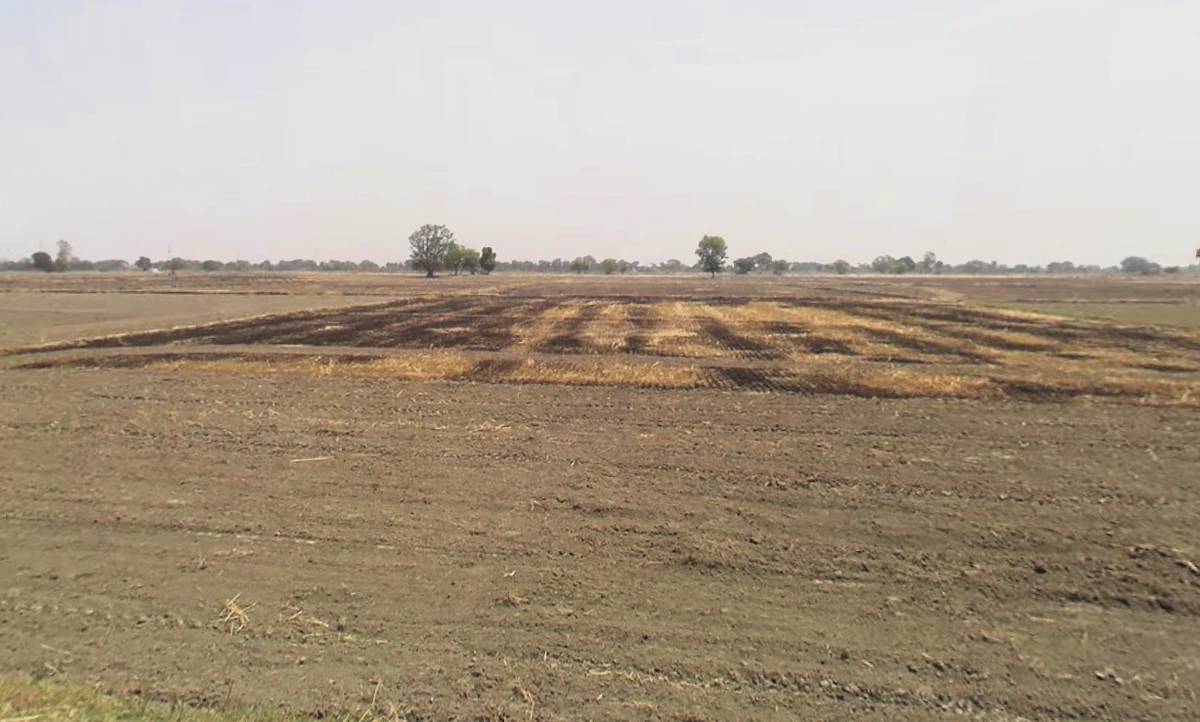 Pirthla, Haryana, India