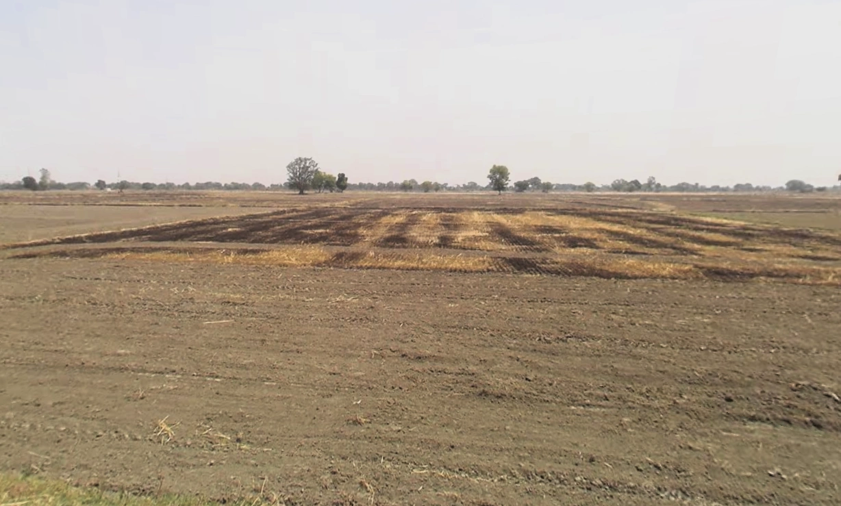 Pirthla, Haryana, India