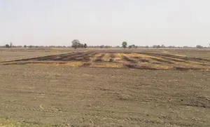 Pirthla, Haryana, India preview 3
