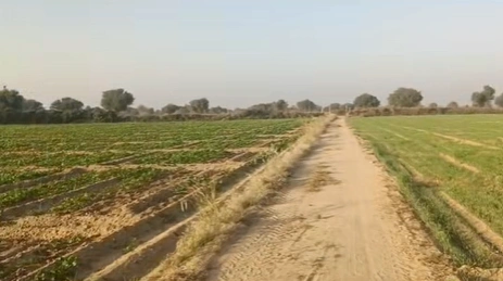CC8H+X8, Sikar, Mandha, Rajasthan 332602, India