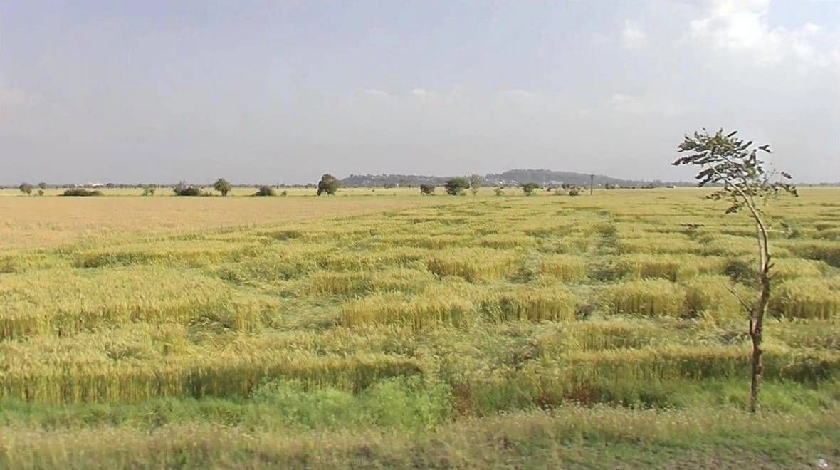 Khategaon, Madhya Pradesh 455336, India