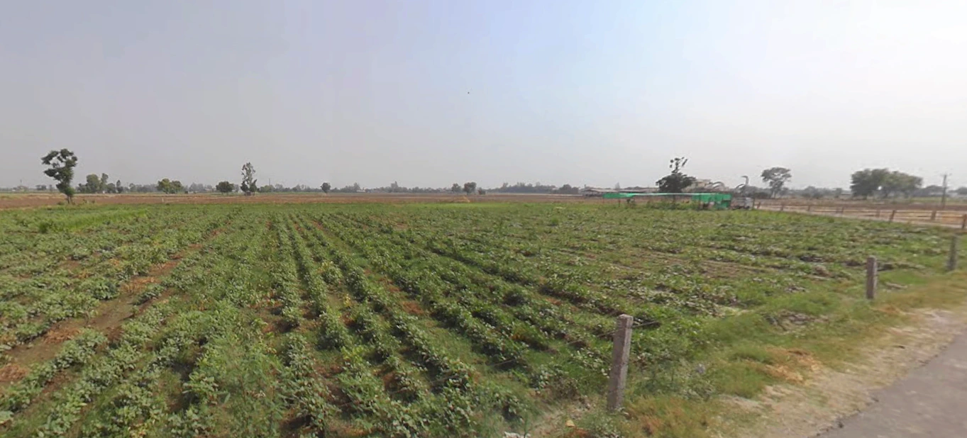 New Chandigarh, Punjab 140901, India