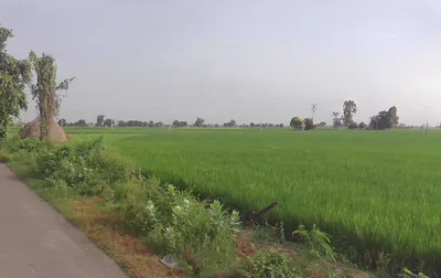 Pehowa, Haryana 136128, India preview 2