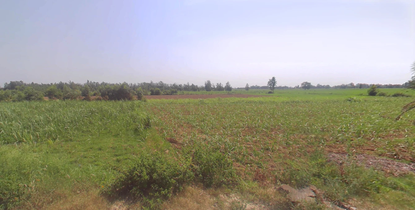 Tentigaon, Uttar Pradesh, India