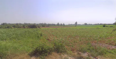 Tentigaon, Uttar Pradesh, India preview 3