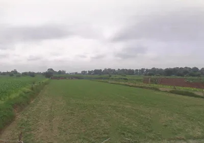 Nawabganj, Uttar Pradesh 271303, India preview 2