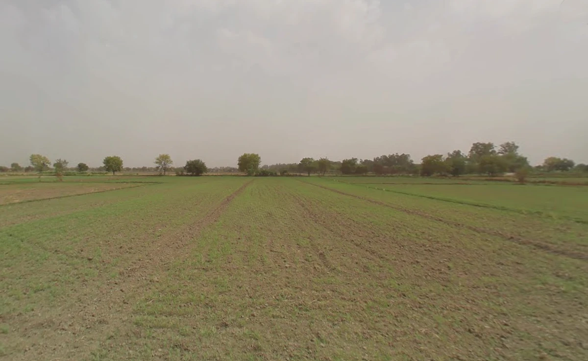 Gochhi, Haryana 124107, India