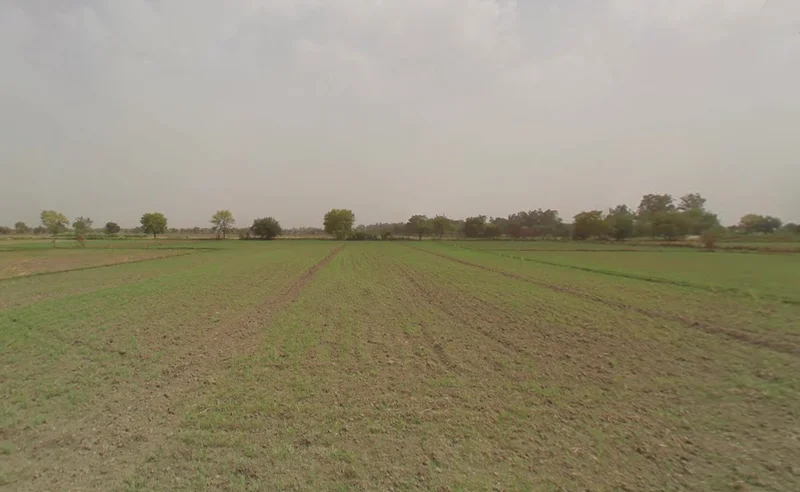 Gochhi, Haryana 124107, India preview 2