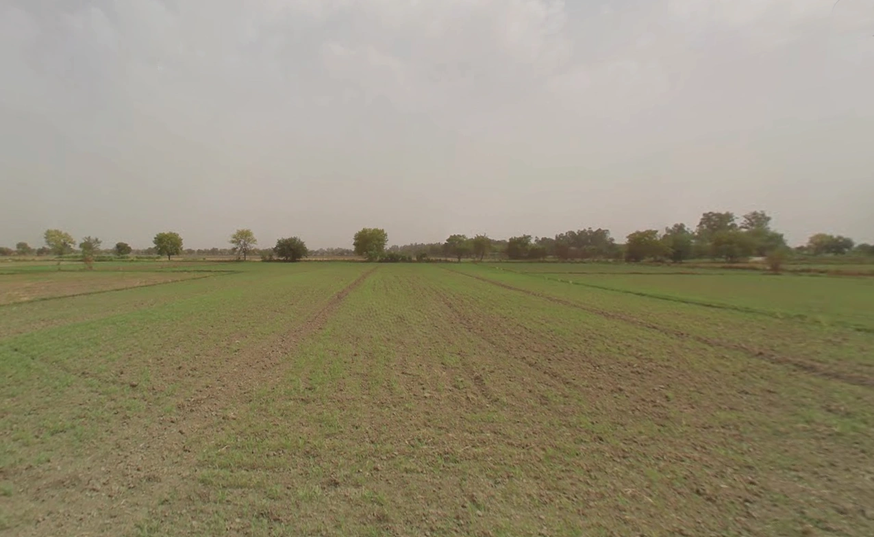 Gochhi, Haryana 124107, India