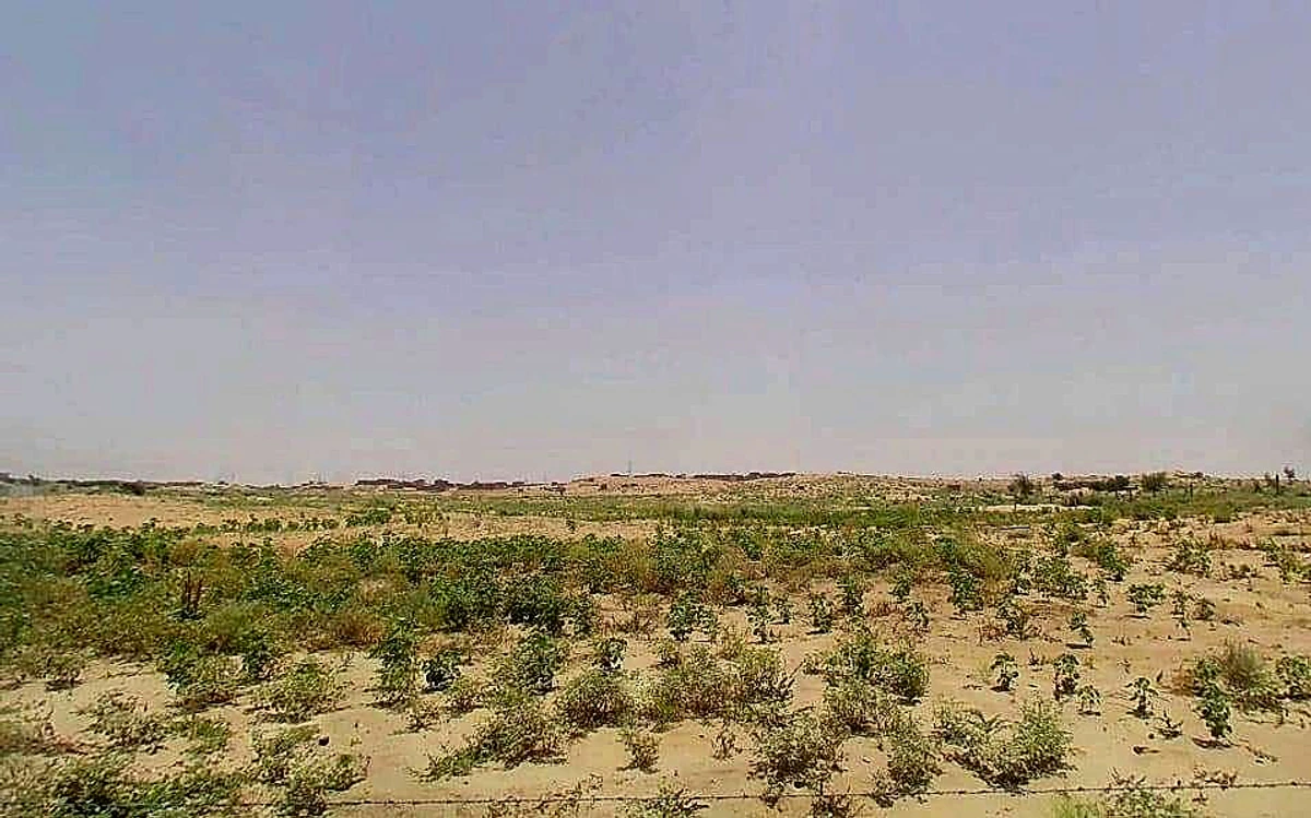 Suratgarh, Rajasthan 335804, India