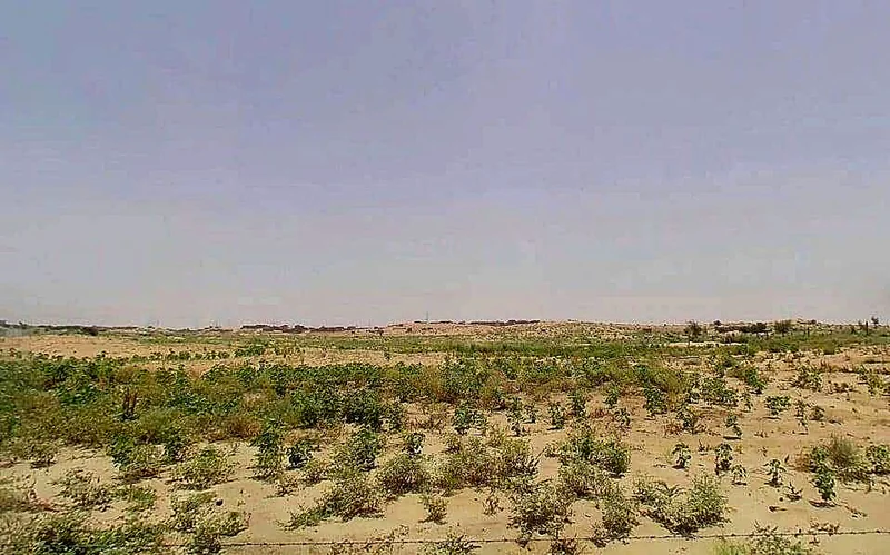 Suratgarh, Rajasthan 335804, India preview 2