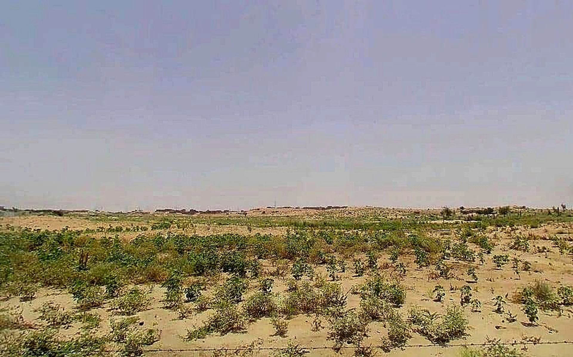 Suratgarh, Rajasthan 335804, India