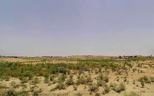 Suratgarh, Rajasthan 335804, India preview 2