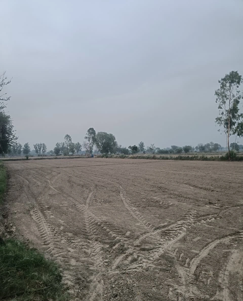 Pinan, Rajasthan, India