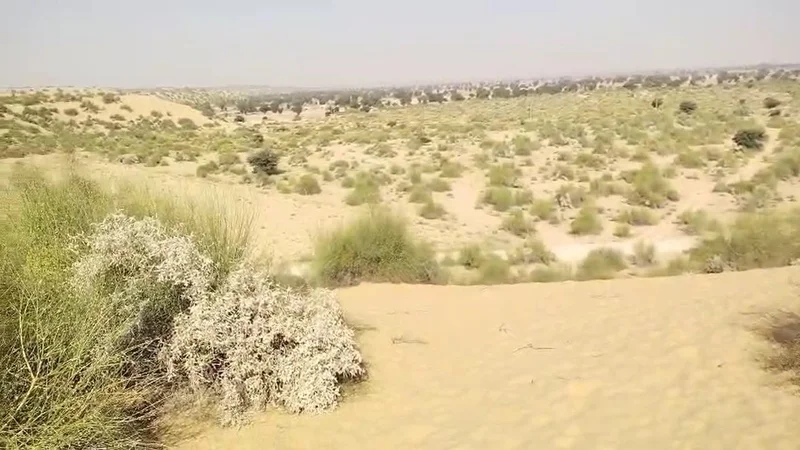 GJX8+RMP, Shekhon Ka Tala, Rajasthan 345028, India preview 3