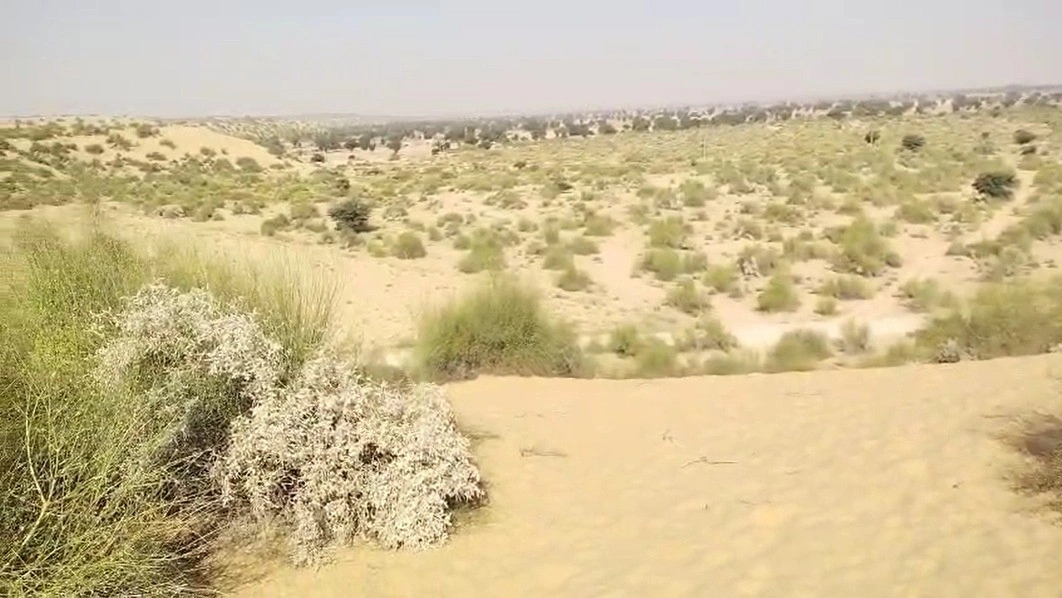 GJX8+RMP, Shekhon Ka Tala, Rajasthan 345028, India