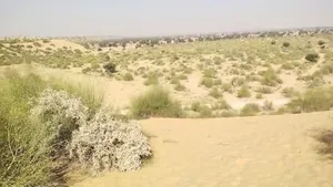 GJX8+RMP, Shekhon Ka Tala, Rajasthan 345028, India preview 3