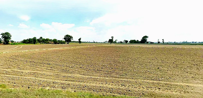 Harsood, Madhya Pradesh 461221, India preview 3