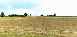 Harsood, Madhya Pradesh 461221, India preview 3