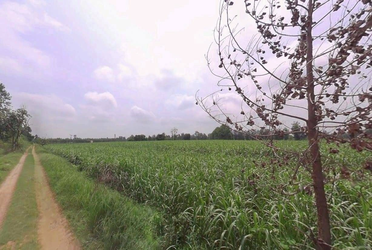 W34F+G9 Chandpur, Uttar Pradesh, India