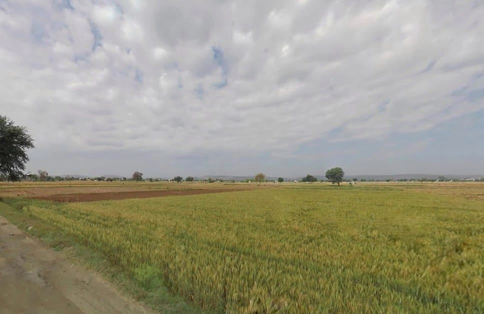 Beejwa, Rajasthan, India preview 3