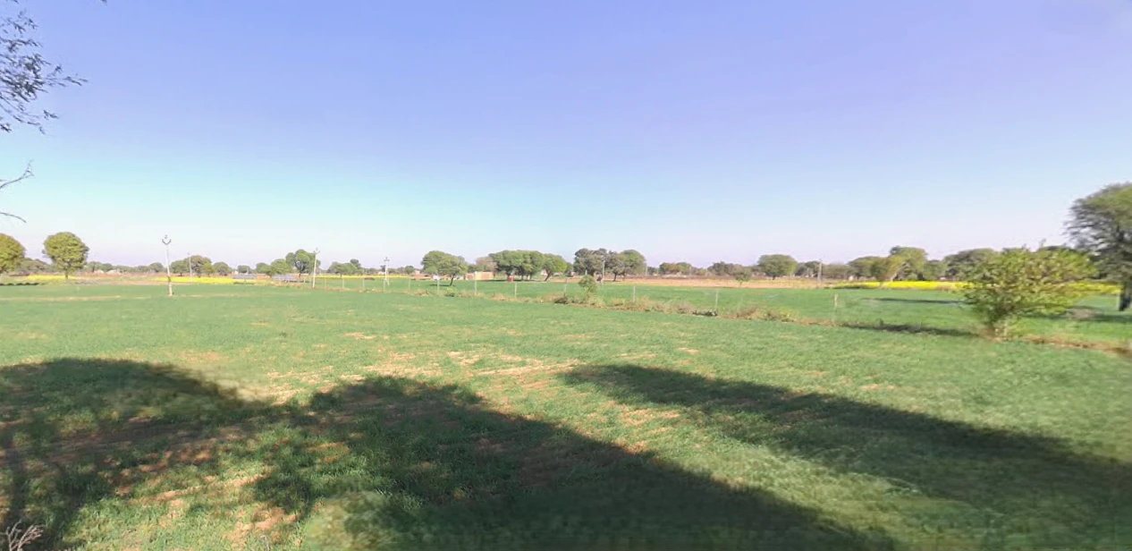 Nangal Koju, Rajasthan, India