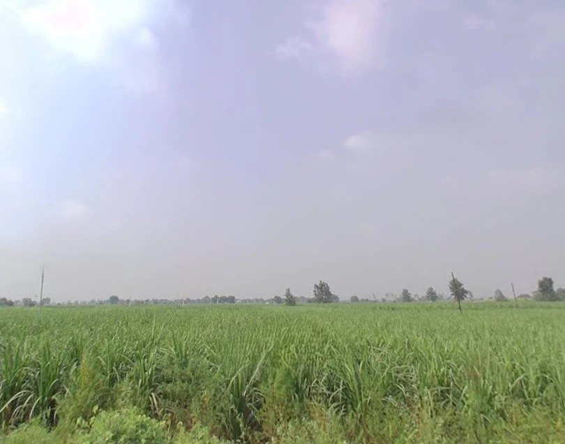 Baraut, Uttar Pradesh 250611, India