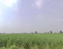 Baraut, Uttar Pradesh 250611, India preview 3
