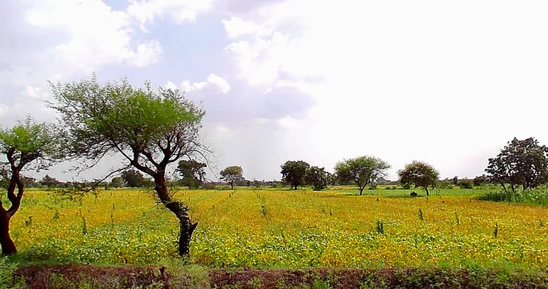 Obaidullaganj, Madhya Pradesh 464993, India preview 3