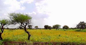 Obaidullaganj, Madhya Pradesh 464993, India preview 3