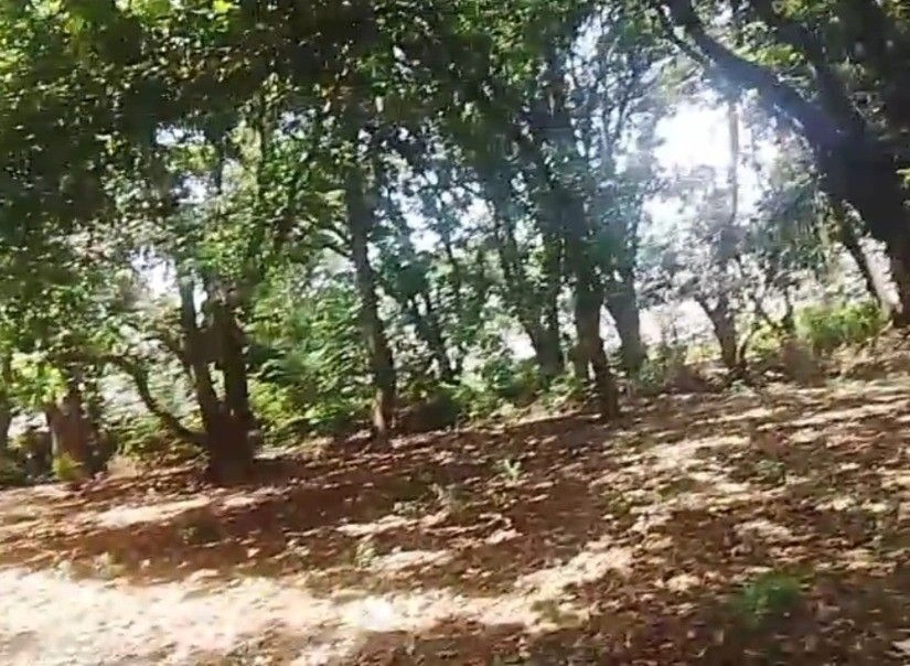 XHJX+6G8, Rahimabad Gahdo Road, Rahimabad, Katra Tiraona, Uttar Pradesh 226103, India