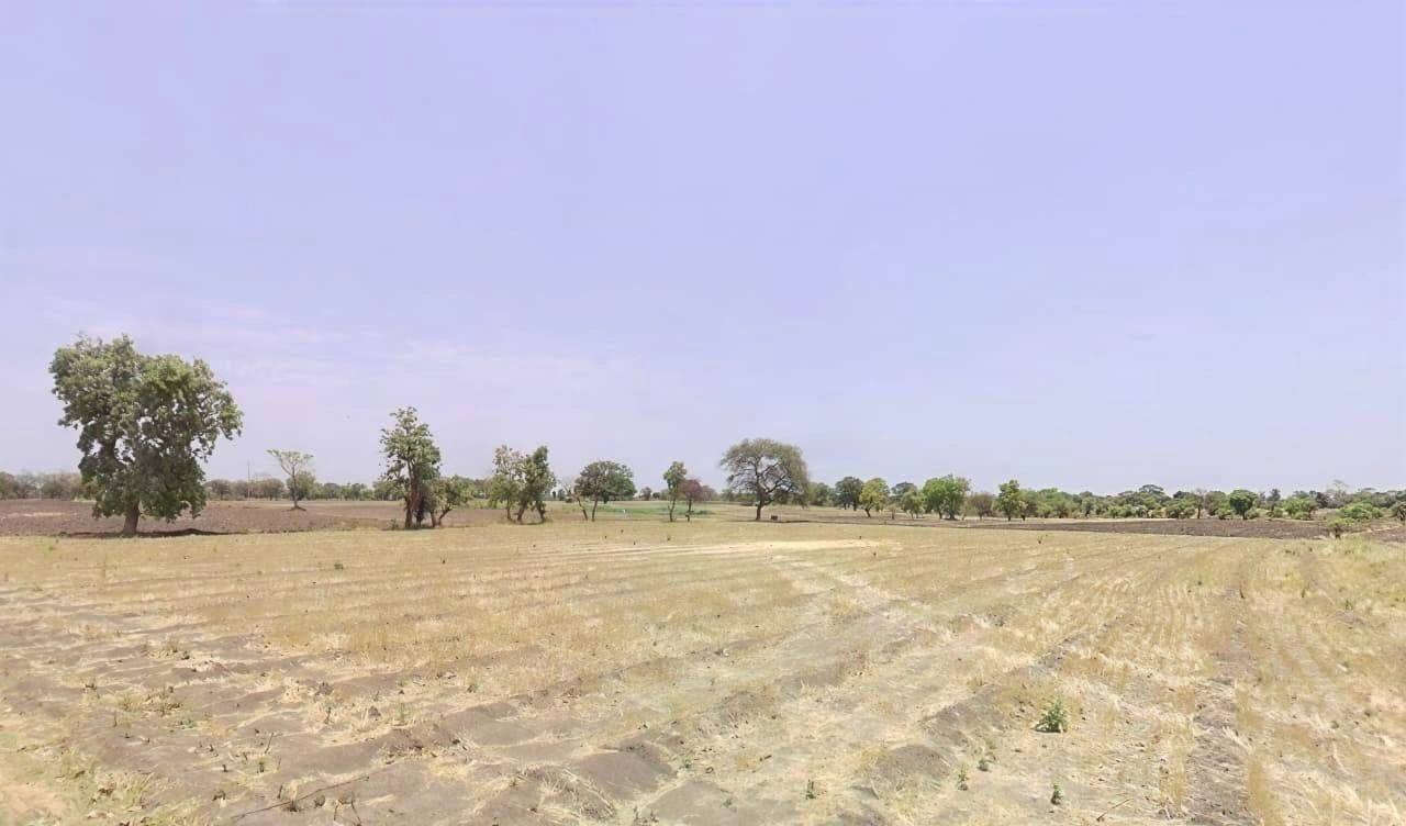 Malendi, Madhya Pradesh 453441, India