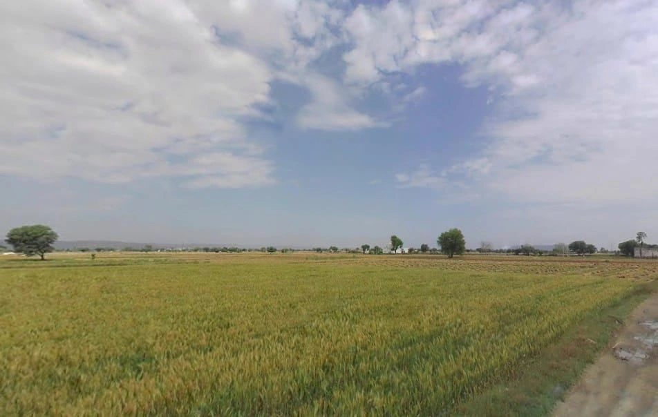 Beejwa, Rajasthan, India