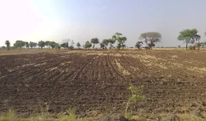 Bilkisganj, Madhya Pradesh 466111, India preview 3