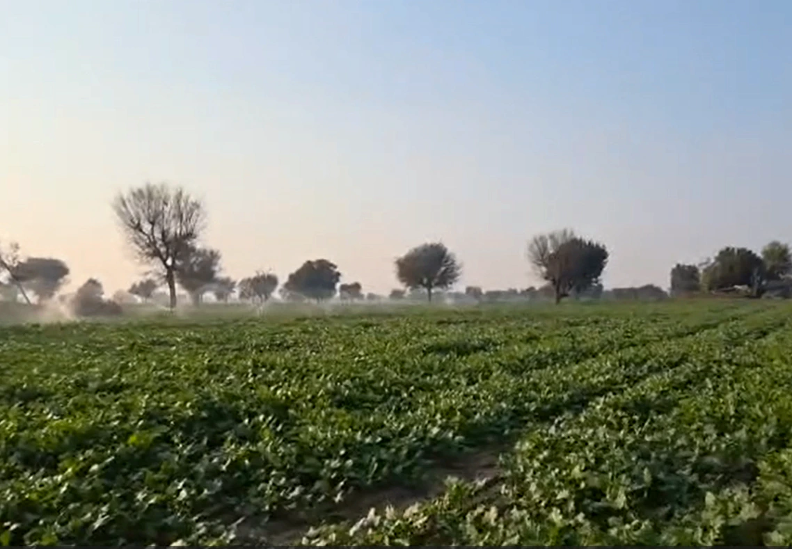 RXQ4+7V2, Kolayat, Rajasthan 334302, India