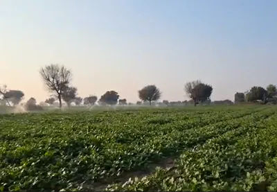 RXQ4+7V2, Kolayat, Rajasthan 334302, India preview 3