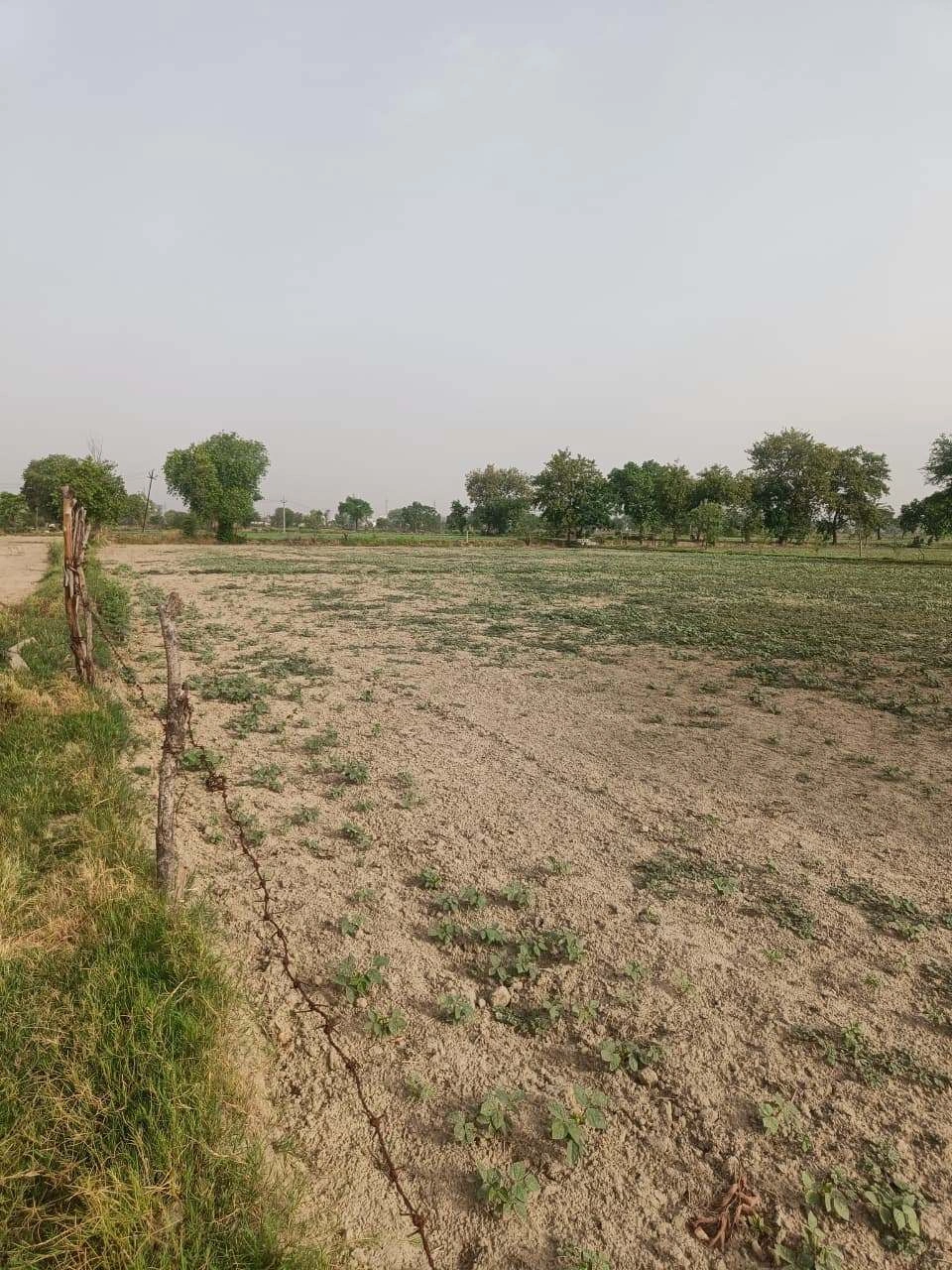 Aou, Rajasthan, India