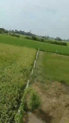 95W5+83 Gopalapeta, Wanaparthy, Telangana, India