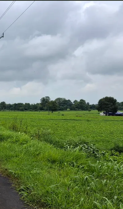 38M3+XW, Sehore, Khari, Madhya Pradesh 466111, India preview 2
