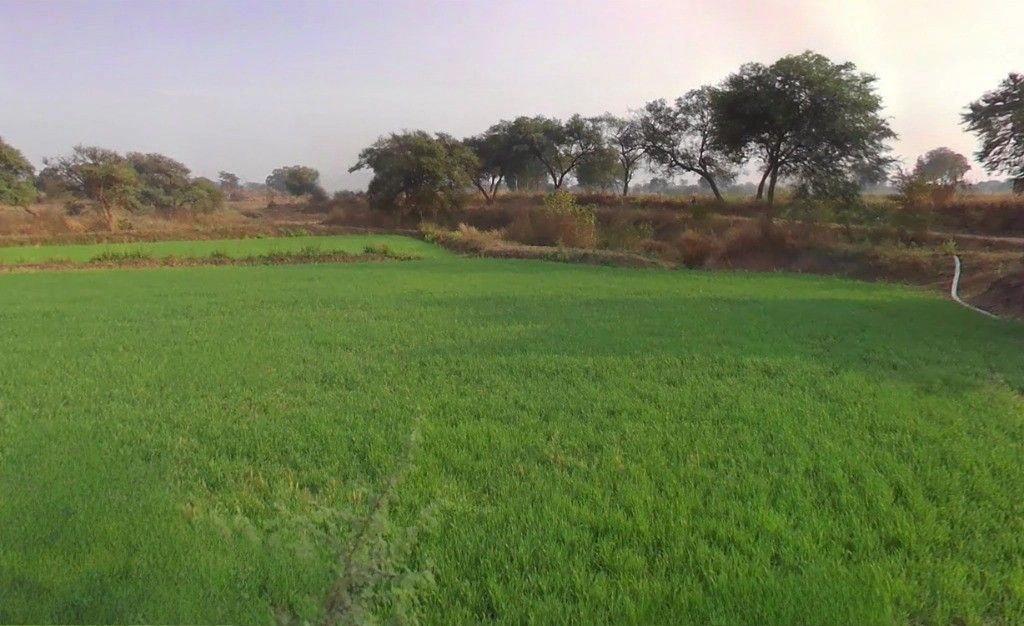 Sankara, Chhattisgarh 492112, India