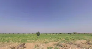 Kolayat, Rajasthan 334302, India preview 2