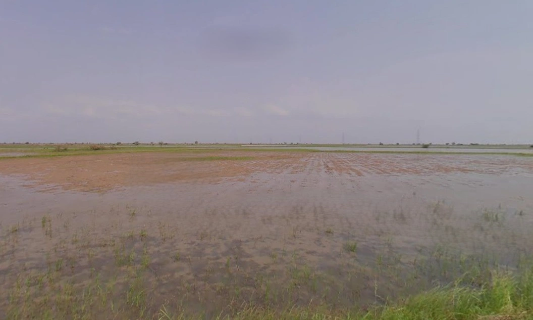 Zankhi, Gujarat 382455, India