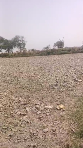 Kalanaur, Rohtak, Haryana 124113, India