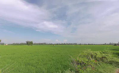 Saidpura, Punjab 141411, India preview 2