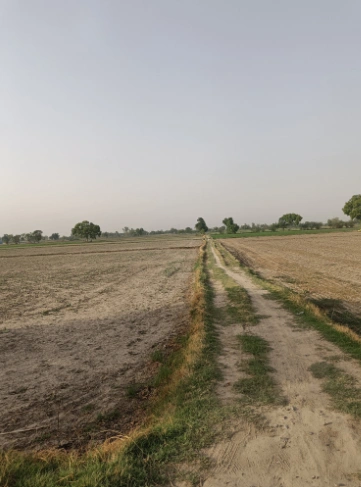 Morinda - Chunni Rd, Bhateri, Punjab, India