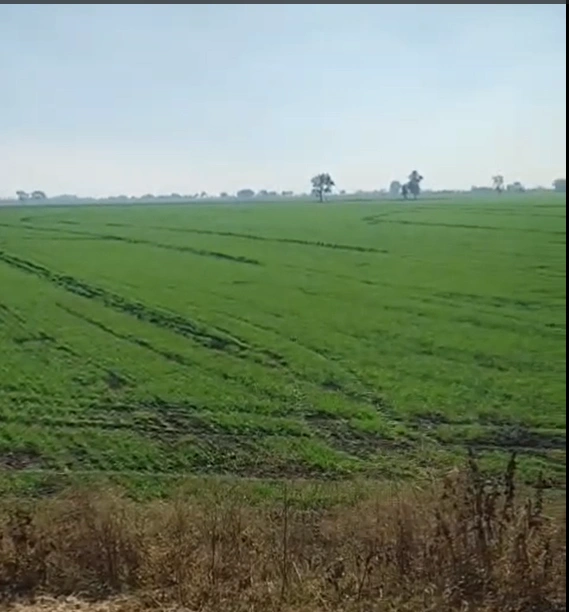 7J2Q+HP Bhiyakhedi, Vidisha, Madhya Pradesh, India