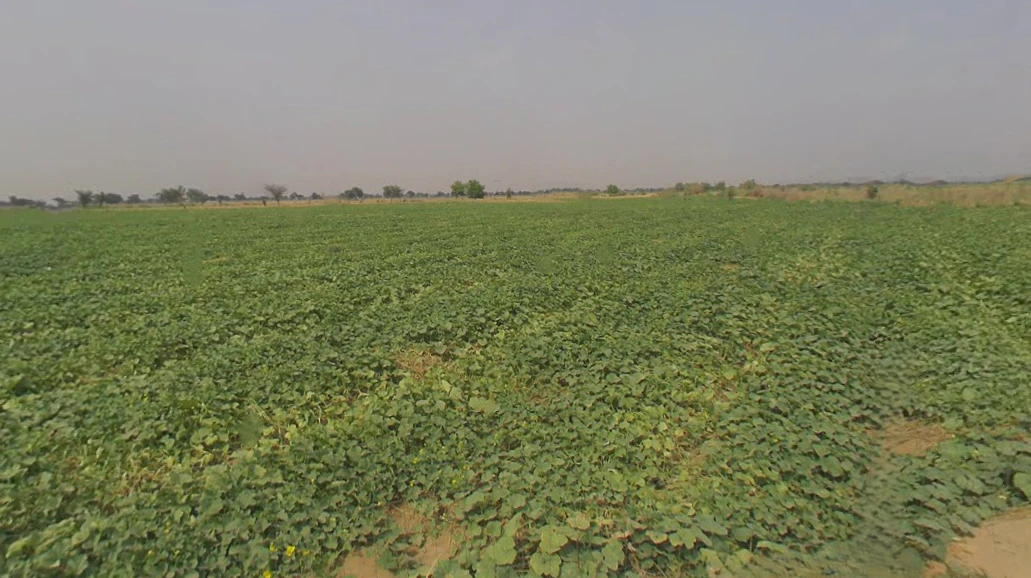 Bansur-Kotputli Rd, Kotputli, Rajasthan, India