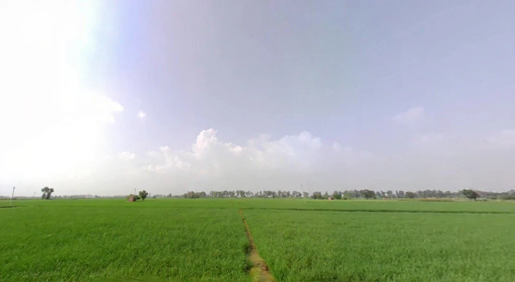 Garhi Bhalaur, Haryana, India