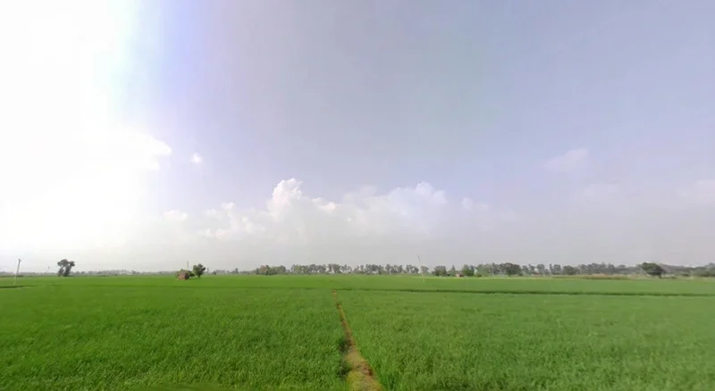 Garhi Bhalaur, Haryana, India preview 3