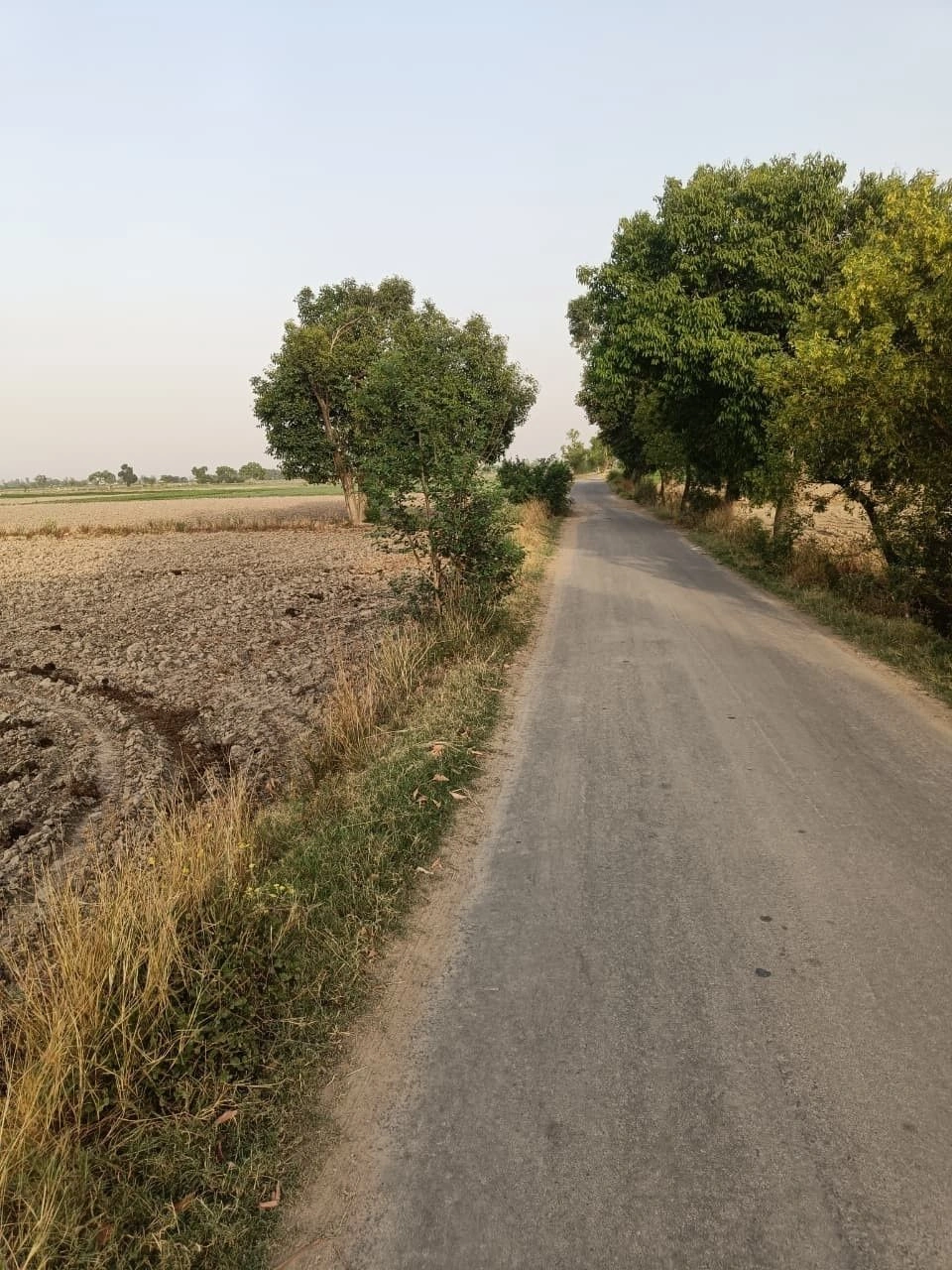 Pinan, Rajasthan, India